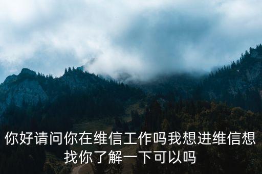 維信貸款公司怎么樣，有用維信的嗎