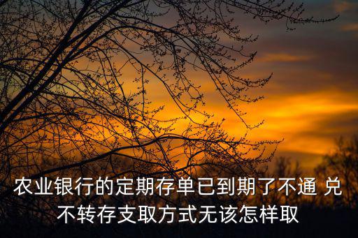 農(nóng)業(yè)銀行的定期存單已到期了不通 兌不轉(zhuǎn)存支取方式無該怎樣取