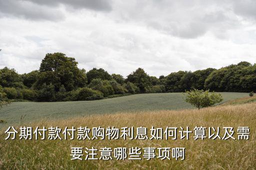 分期付款月利息怎么算的，請(qǐng)問手機(jī)分期付款怎么付的利息是多少1年的怎么算