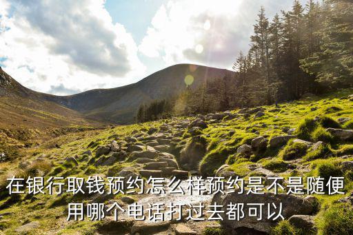 在銀行取錢預約怎么樣預約是不是隨便用哪個電話打過去都可以