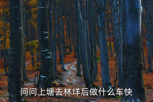 問問上塘去林垟后做什么車快