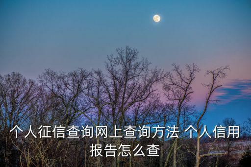 怎么銀聯(lián)驗(yàn)證查征信，怎么查征信