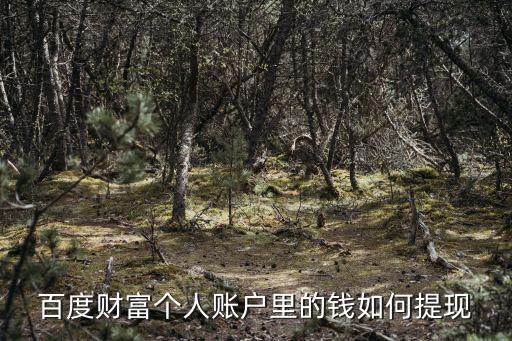 百度財富個人賬戶里的錢如何提現(xiàn)