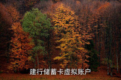 建行虛擬卡怎么使用，建行網(wǎng)上銀行的usbkay怎么使用