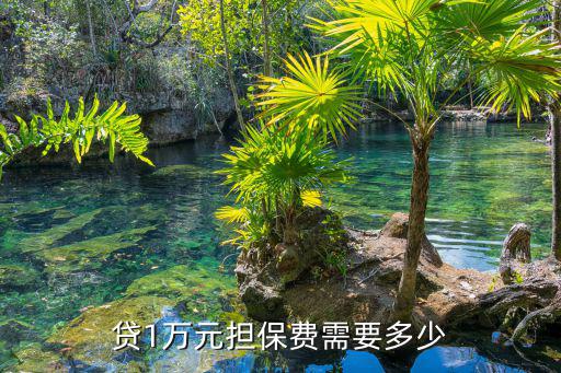貸1萬元擔保費需要多少
