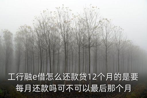 工商銀行融e借怎么貸款，工行融e借怎么還款貸12個(gè)月的是要每月還款嗎可不可以最后那個(gè)月