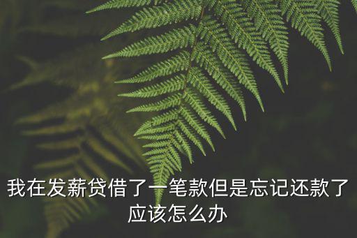 發(fā)薪貸要怎么還款，發(fā)薪貸需要什么資料