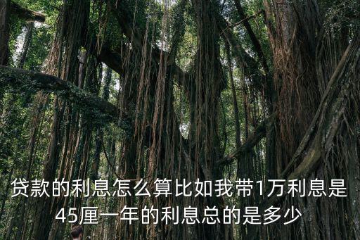 貸款年息怎么算，貸款的利息怎么算比如我?guī)?萬利息是45厘一年的利息總的是多少