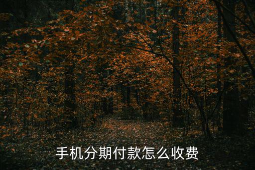 手機(jī)分期付款怎么收費(fèi)
