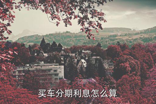 買(mǎi)車(chē)分期利息怎么算