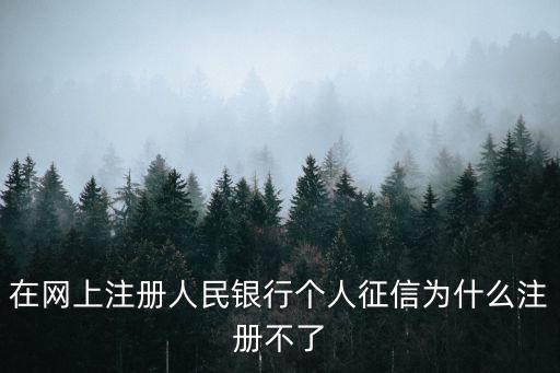 網(wǎng)絡(luò)征信怎么注冊不了，征信注冊不了 注冊的時候提示系統(tǒng)未錄入您的信息 怎么回事呀