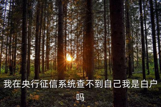 我在央行征信系統(tǒng)查不到自己我是白戶嗎