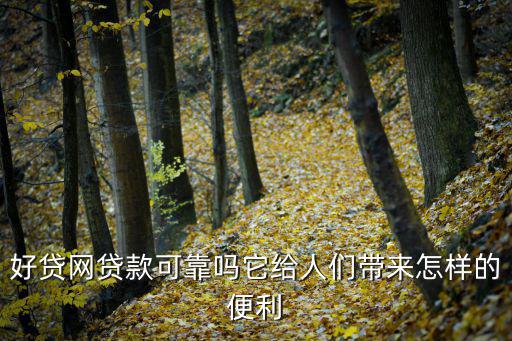 好貸網(wǎng)貸款可靠嗎它給人們帶來(lái)怎樣的便利
