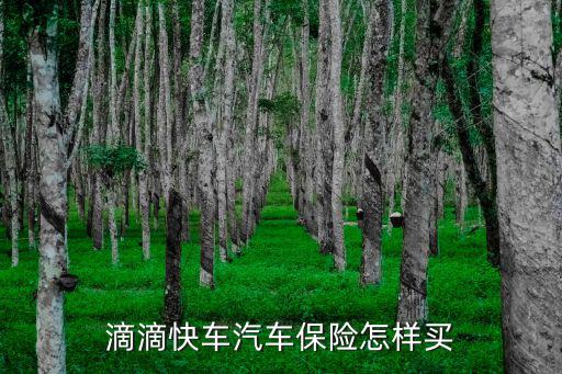 滴滴快車汽車保險怎樣買