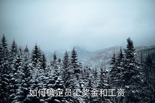 如何確定員工獎金和工資