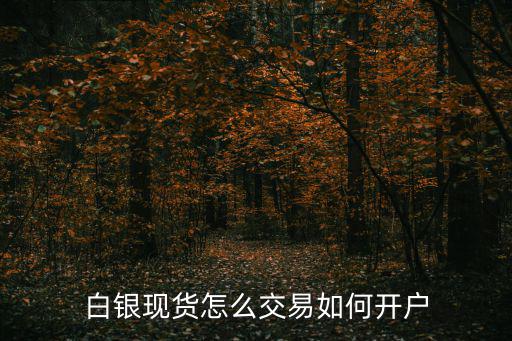 白銀現(xiàn)貨怎么交易如何開(kāi)戶