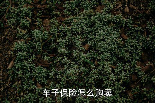 長沙網(wǎng)約車車險怎么買，網(wǎng)約車怎么申請保險 網(wǎng)約車保險怎么買