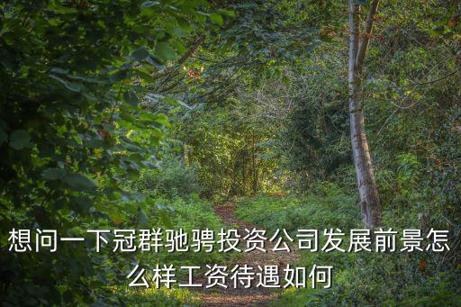 想問(wèn)一下冠群馳騁投資公司發(fā)展前景怎么樣工資待遇如何