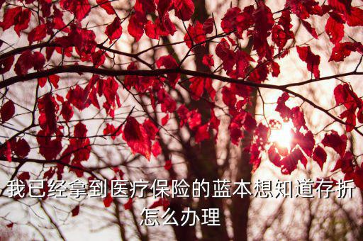 醫(yī)保存折怎么辦，醫(yī)保存折如何辦理