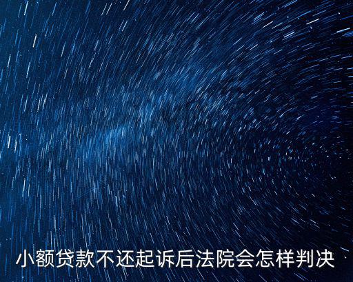 小額貸款不還起訴后法院會(huì)怎樣判決