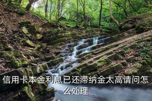 信用卡負(fù)債高怎么解決，招商信用卡因欠款太多無(wú)力償還該怎么和銀行溝通呢