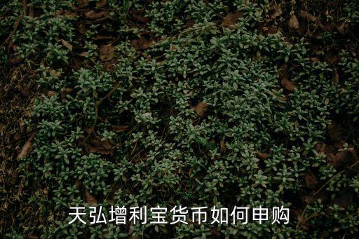 天弘增利寶貨幣如何申購
