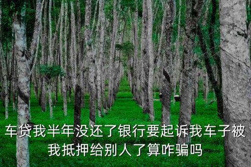 車貸我半年沒(méi)還了銀行要起訴我車子被我抵押給別人了算咋騙嗎