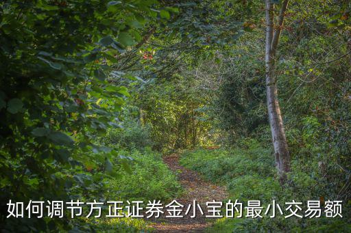 如何調(diào)節(jié)方正證券金小寶的最小交易額
