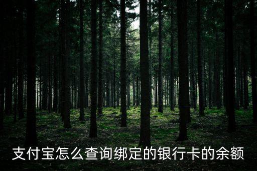 支付寶怎么查詢綁定的銀行卡的余額