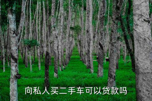 向私人買二手車可以貸款嗎