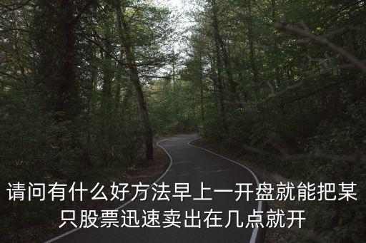 請(qǐng)問(wèn)有什么好方法早上一開(kāi)盤(pán)就能把某只股票迅速賣(mài)出在幾點(diǎn)就開(kāi)