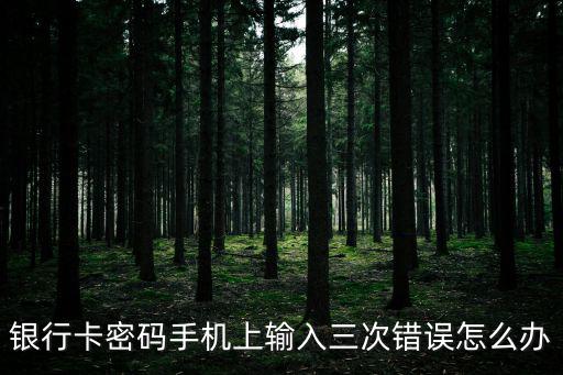 連輸錯(cuò)三次密碼怎么辦啊，銀行卡連續(xù)輸錯(cuò)三次密碼 怎么辦
