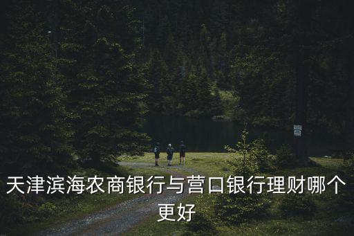 天津濱海農(nóng)商銀行與營口銀行理財哪個更好