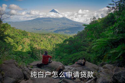 白戶怎么能貸款50萬，純白戶怎么申請(qǐng)貸款
