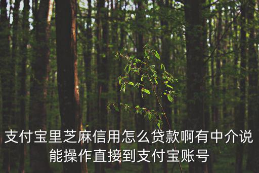 支付寶里芝麻信用怎么貸款啊有中介說(shuō)能操作直接到支付寶賬號(hào)