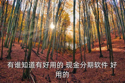 現(xiàn)金分期app怎么樣，現(xiàn)金貸APP好像最近很火呀想知道它好用嗎親們具體說說唄