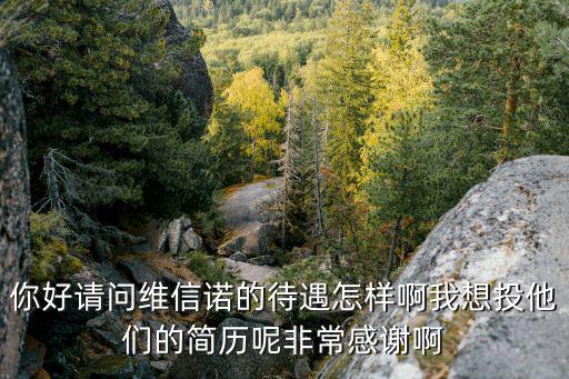 維信理財(cái)有限公司怎么樣，這個(gè)投資管理公司怎么樣