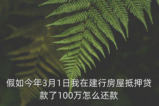 假如今年3月1日我在建行房屋抵押貸款了100萬怎么還款