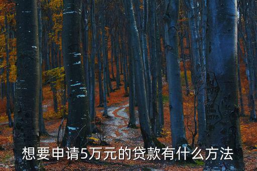 想要申請(qǐng)5萬(wàn)元的貸款有什么方法