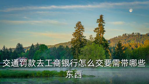 交通罰款去工商銀行怎么交要需帶哪些東西