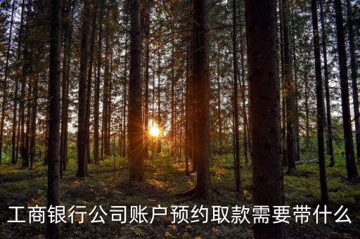 工商銀行公司賬戶預約取款需要帶什么