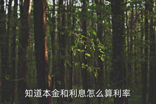 本金和利息 怎么算，知道本金和利息怎么算利率