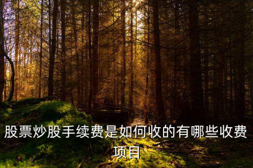 股票炒股手續(xù)費是如何收的有哪些收費項目