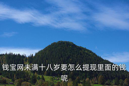 錢寶網(wǎng)寶券怎么提現(xiàn)，錢寶網(wǎng)搶到的錢寶幣要怎么提現(xiàn)
