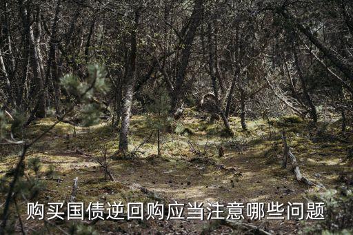 國(guó)債逆回購(gòu)怎么買劃算，國(guó)債逆回購(gòu)周五技巧
