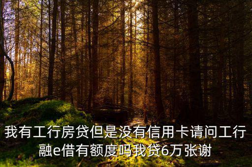 我有工行房貸但是沒(méi)有信用卡請(qǐng)問(wèn)工行融e借有額度嗎我貸6萬(wàn)張謝
