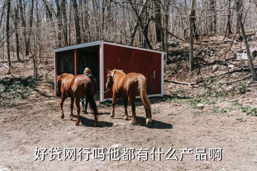 好貸網(wǎng)薪資待遇怎么樣，好貸網(wǎng)行嗎他都有什么產(chǎn)品啊