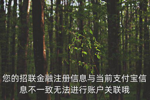 招聯(lián)金融怎么注冊，您已經(jīng)在招聯(lián)金融旗下產(chǎn)品好期貸零零花或沃支付已進行了實名認證