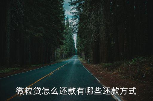 微粒貸怎么還款有哪些還款方式