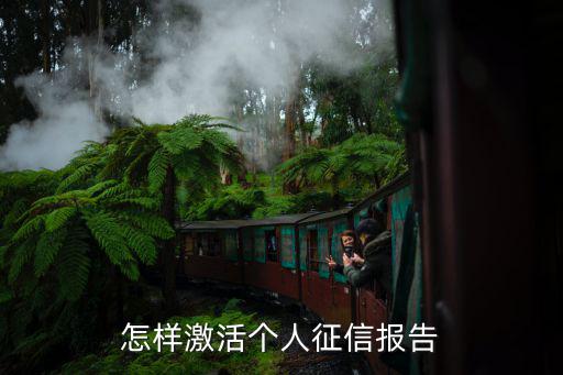 怎樣激活個(gè)人征信報(bào)告